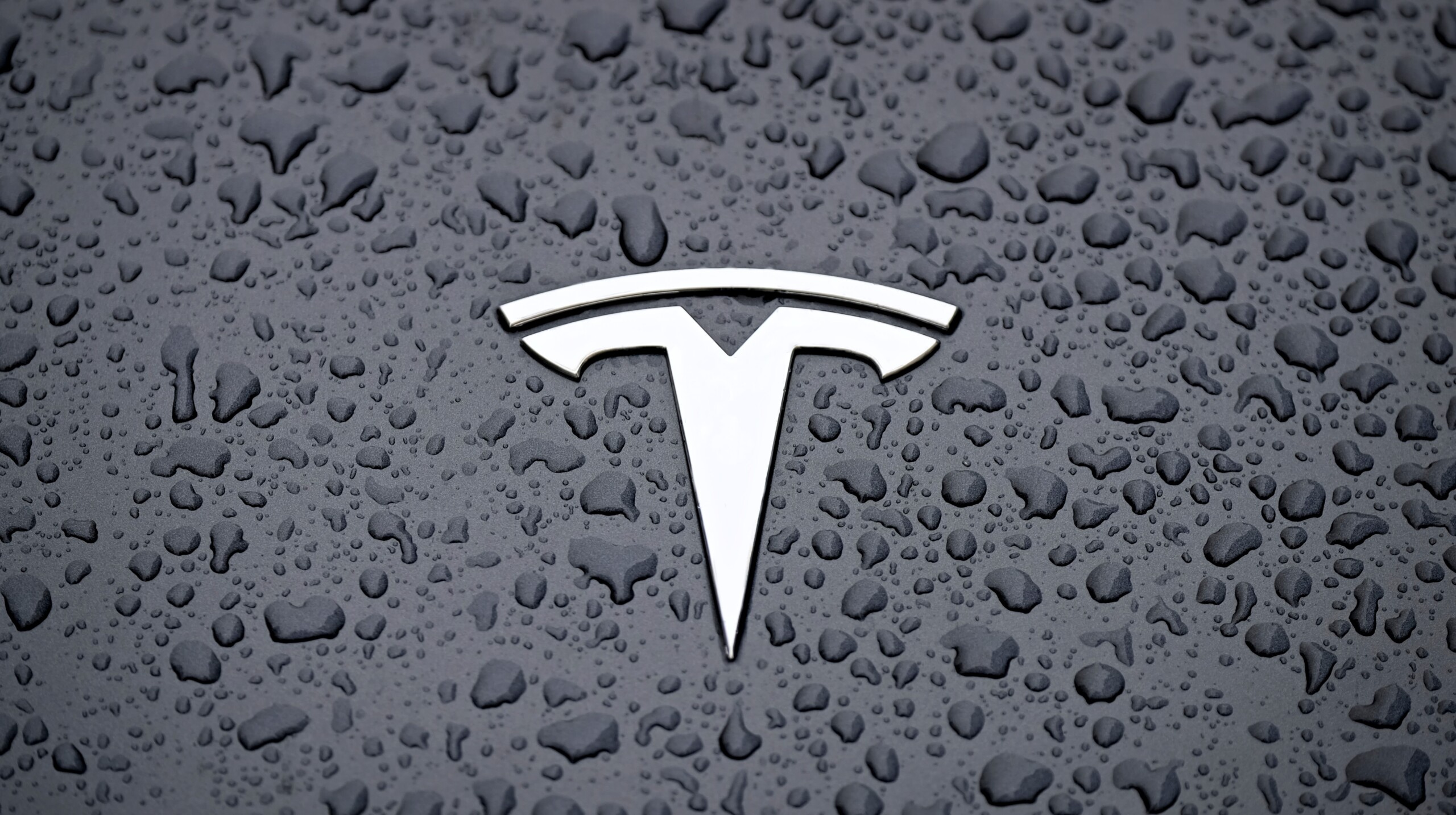 Tesla massiv unter Druck: Musk-Trump-Zoff schickt Aktie auf Talfahrt