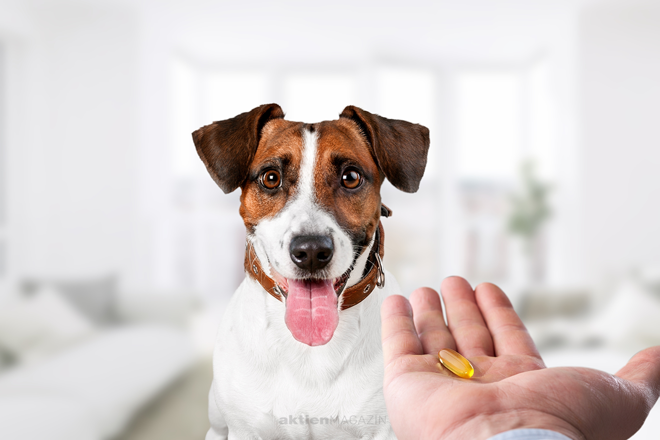Zoetis Inc.: Medizin für Kuh, Hund und Katze