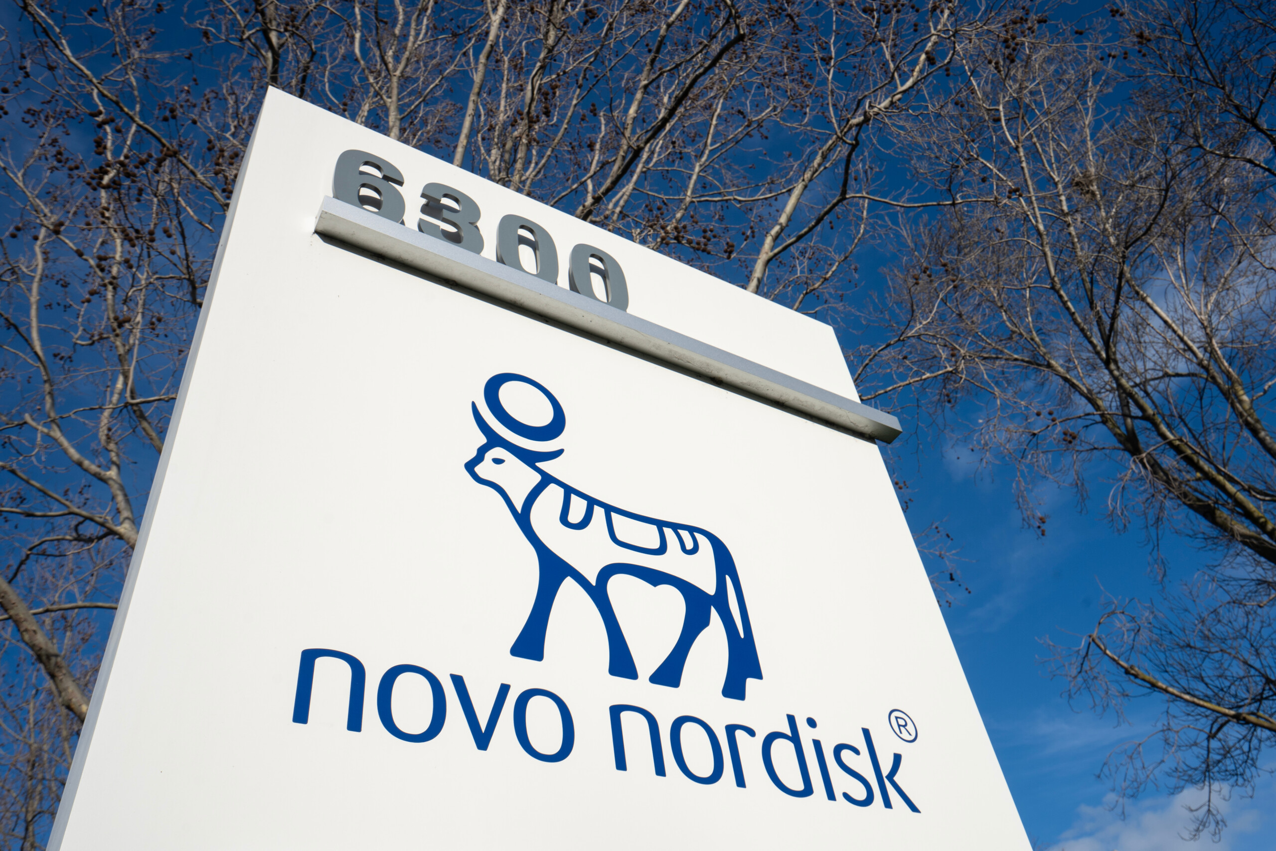 Novo Nordisk: Dänischer Pharmariese kappt erneut Jahresziele – Blockbuster verlieren an Dynamik!